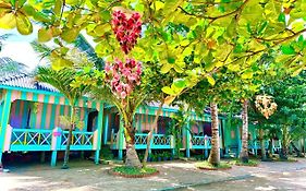 Hotel Simone Rabbit Island